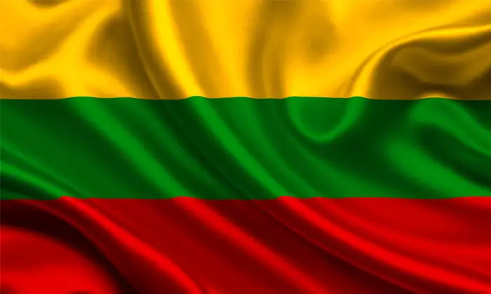 Доповідь за результатами періодичного візиту до Литви, здійсненого ЄКЗК з 10 по 20 грудня 2021 року (витяги)