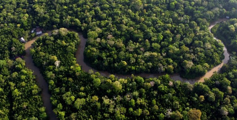 Франція побудує в Амазонії в’язницю суворого режиму для лідерів банд